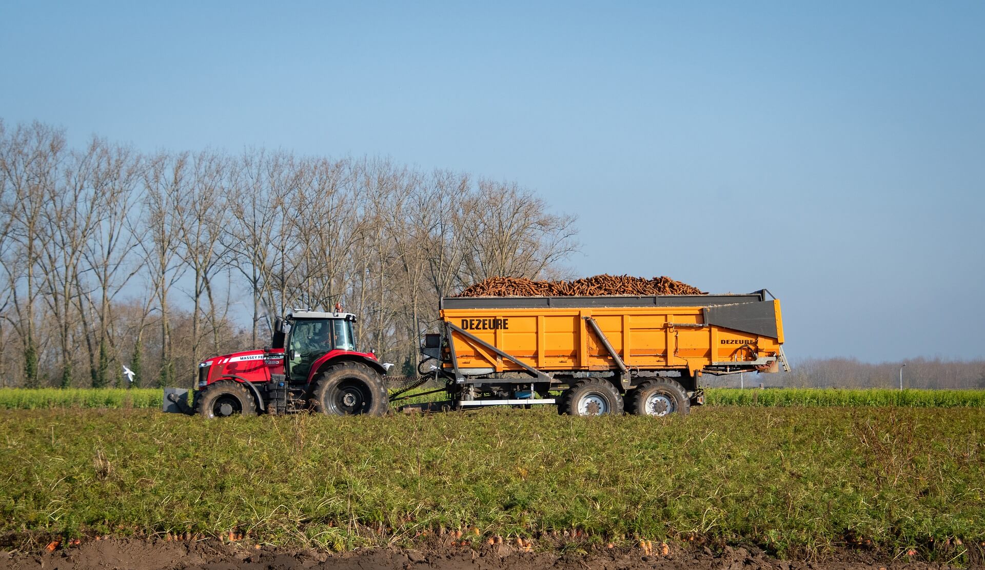 A photo containing grass, outdoor, sky, farm machine